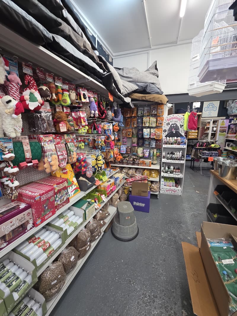 A narrow aisle inside the shop stacked floor to ceiling with toys, beds and treats
