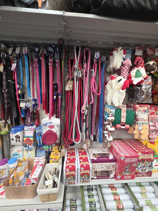 A wall display of leads, collars and harnesses above a shelf of pet gifts
